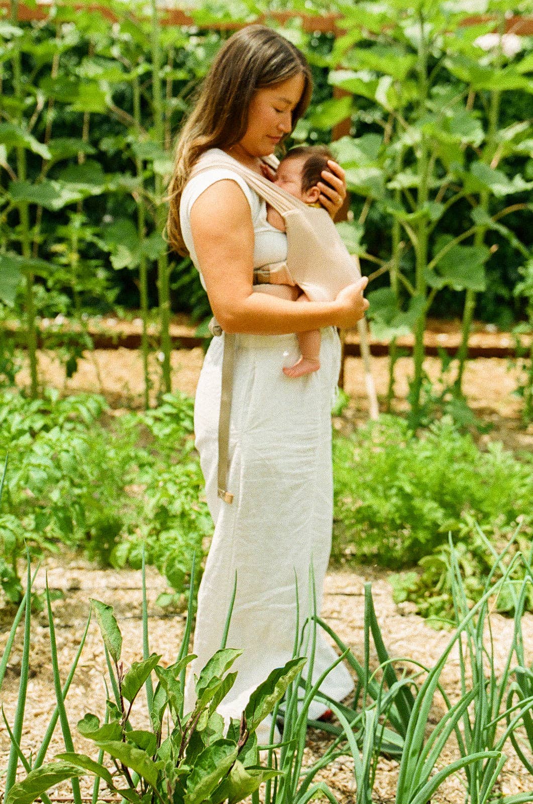 Desert Lark - Aerial Buckle Wrap: XS - XL