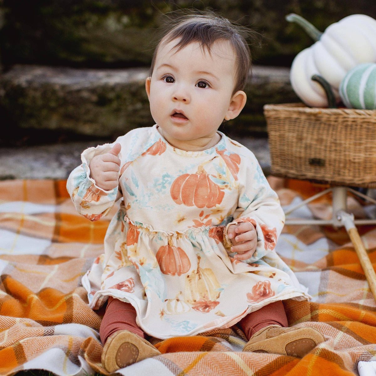 Fall Favorites