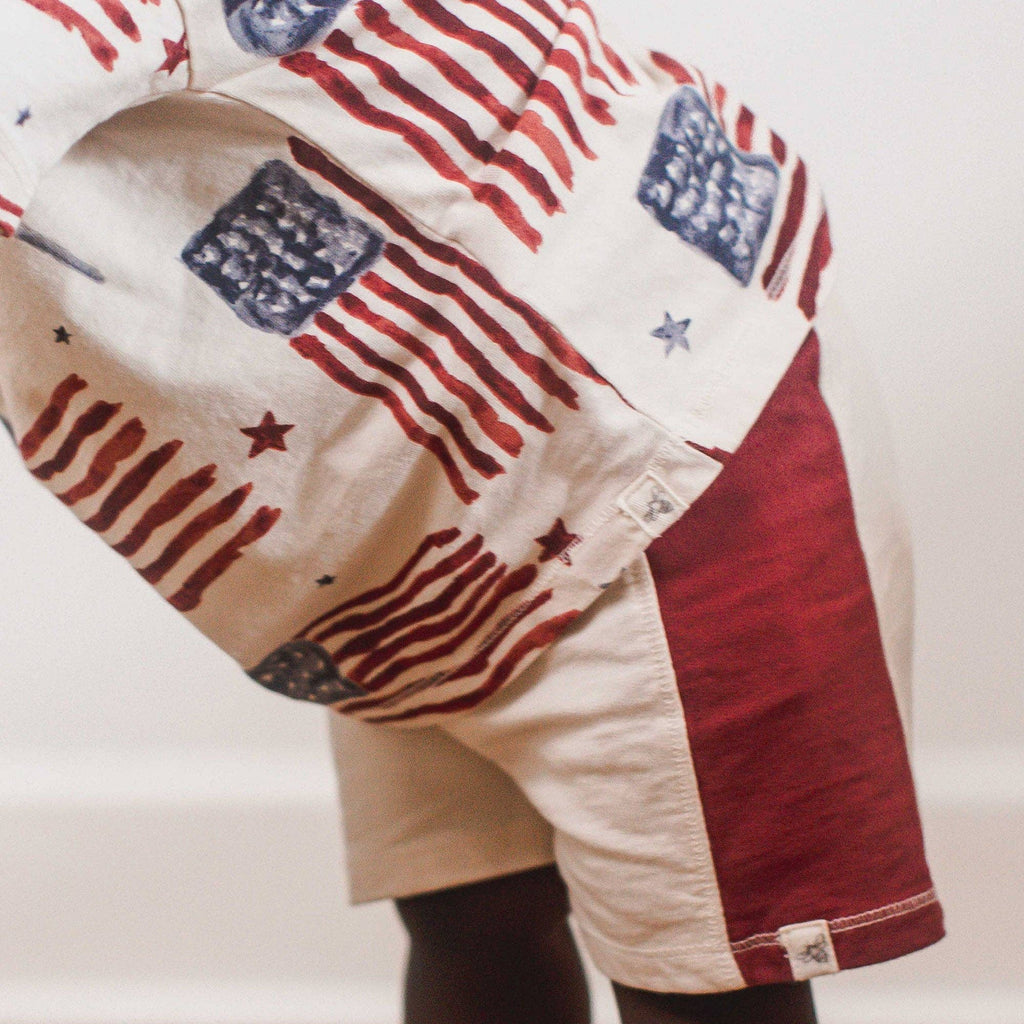 American Flag Boy Tee & Shorts Set