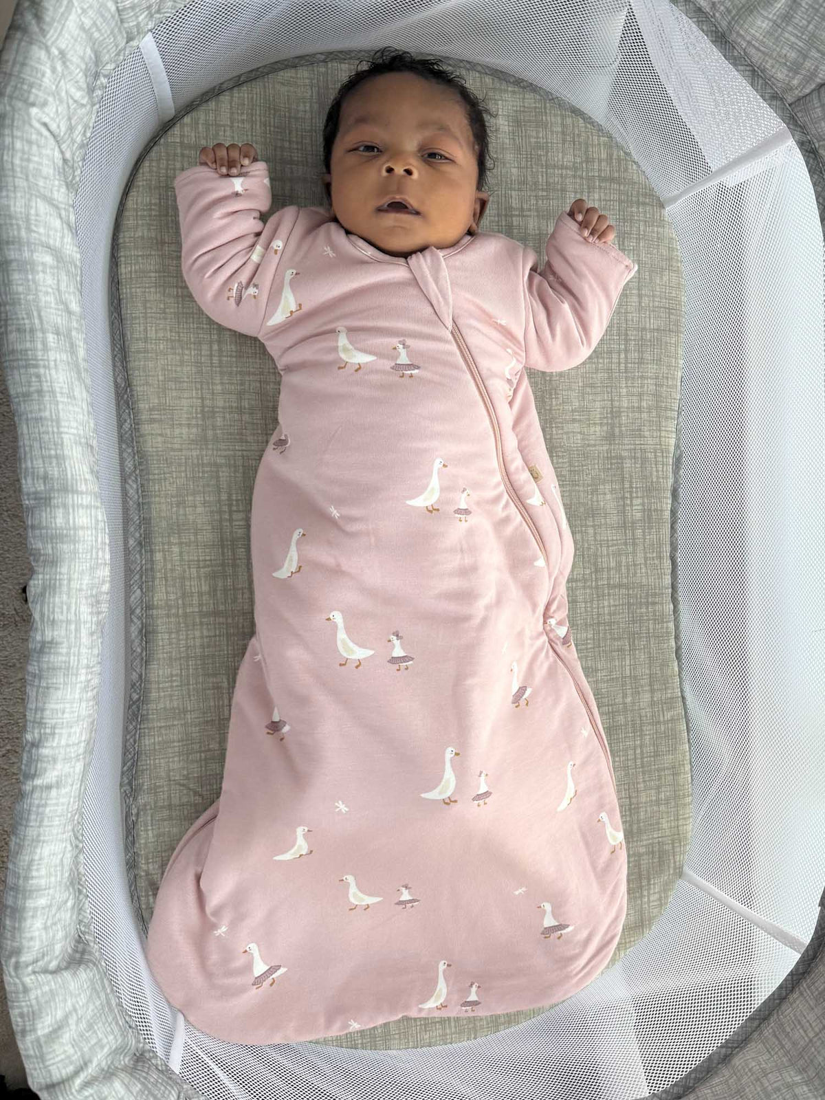 LONG SLEEVE SWADDLE: Woof / 1.0