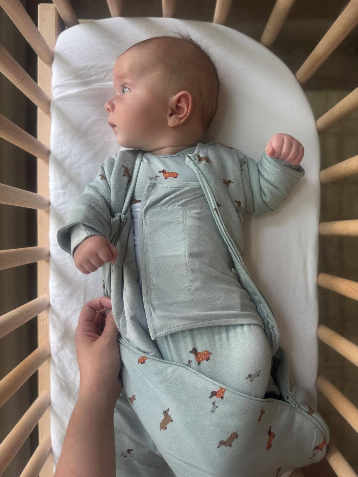 LONG SLEEVE SWADDLE: Woof / 1.0