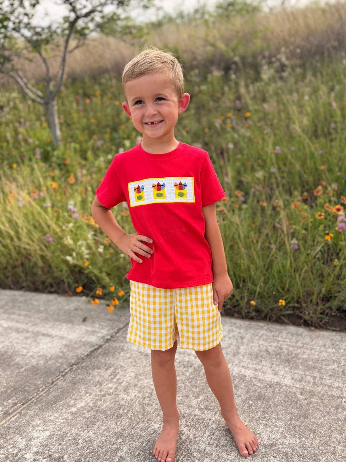 Back to School Crayon Smocked Boys Plaid Shorts Set: