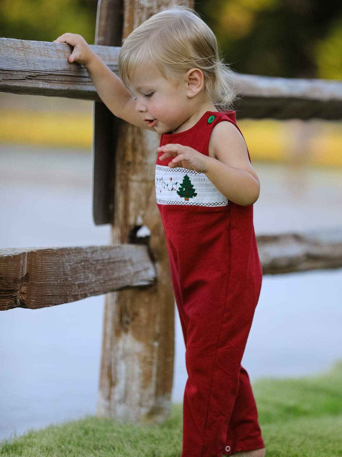 Christmas Tree Dog Smocking Embroidered Baby Boys Romper: 3M