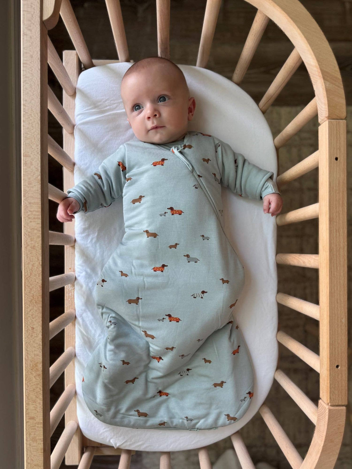 LONG SLEEVE SWADDLE: Woof / 1.0