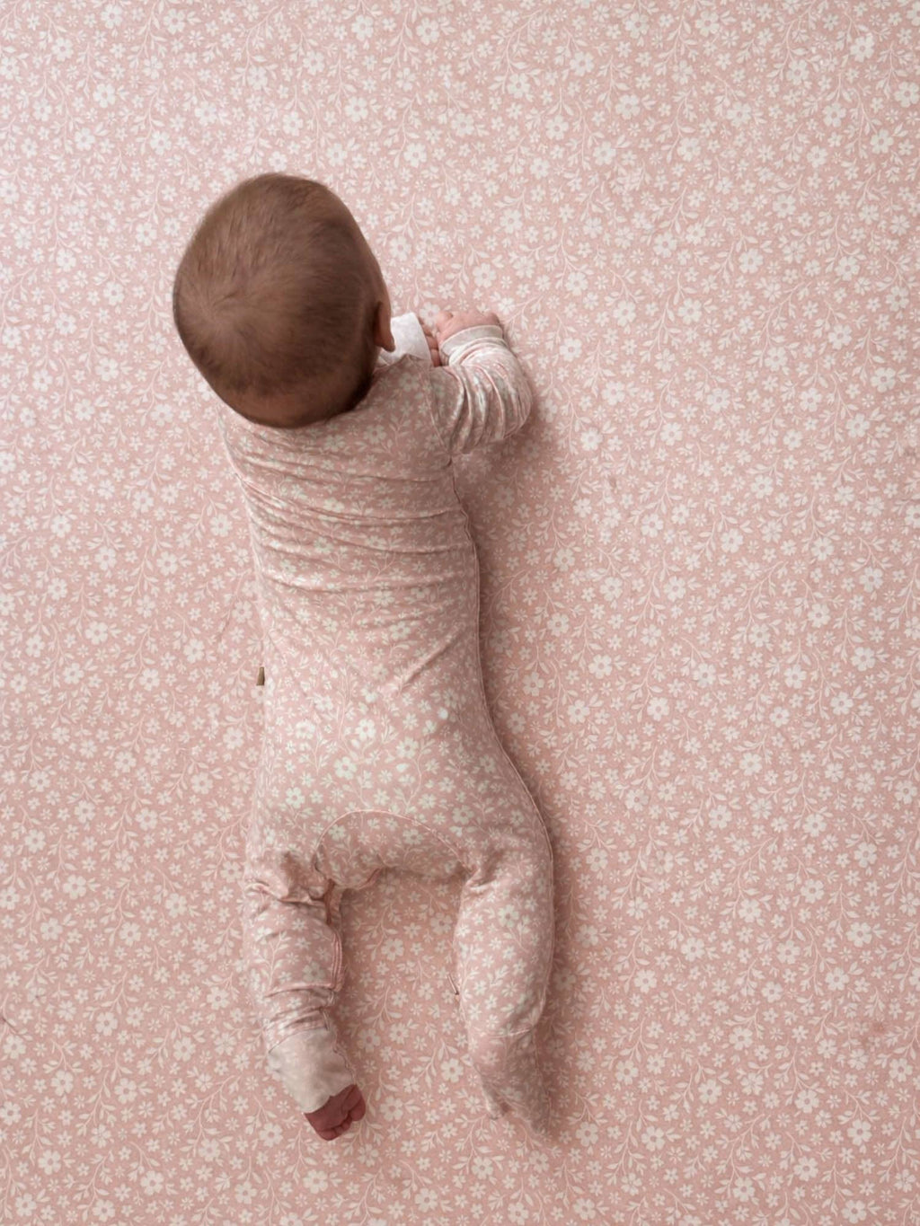 CONVERTIBLE PJ: Girl dog Pink
