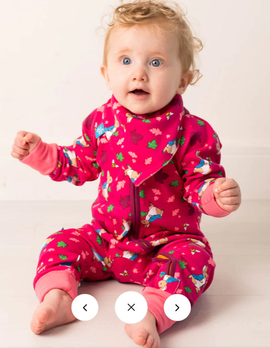 Peter Rabbit Autumn Leaf Zip up Romper