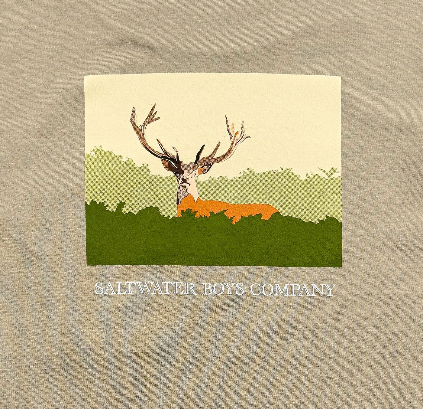 Deer Boys Graphic Tee SS Taupe: Taupe