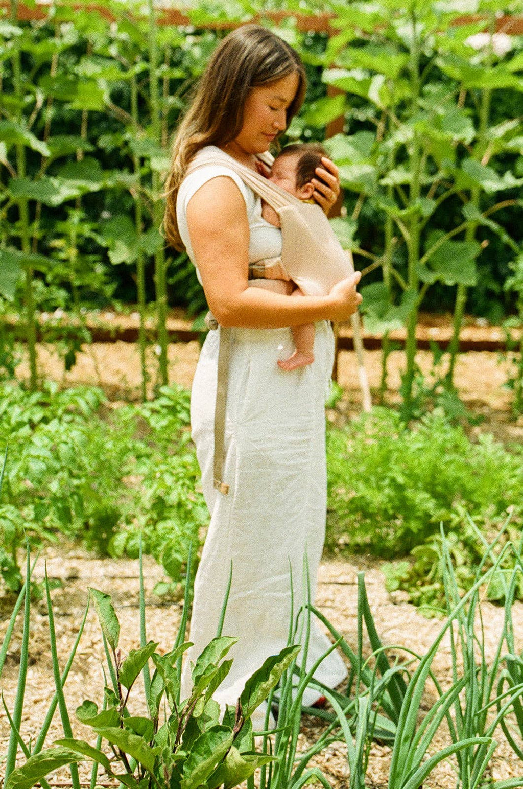 Desert Lark - Aerial Buckle Wrap: XS - XL