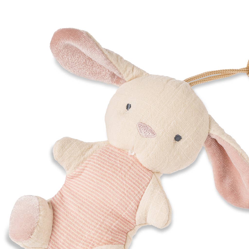 Bitzy Pal Natural Rubber Pacifier & Plush - Bunny