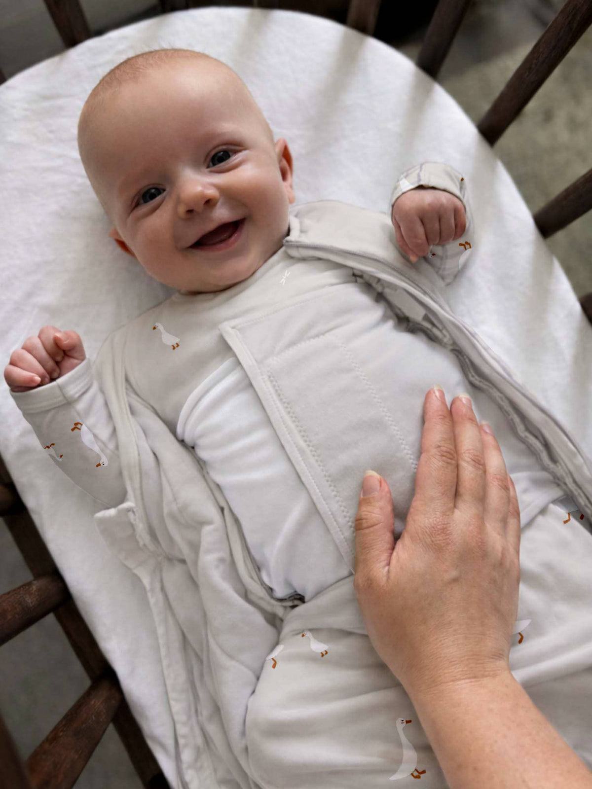 LONG SLEEVE SWADDLE: Woof / 1.0