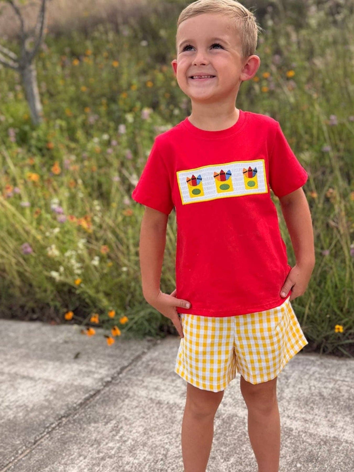 Back to School Crayon Smocked Boys Plaid Shorts Set: