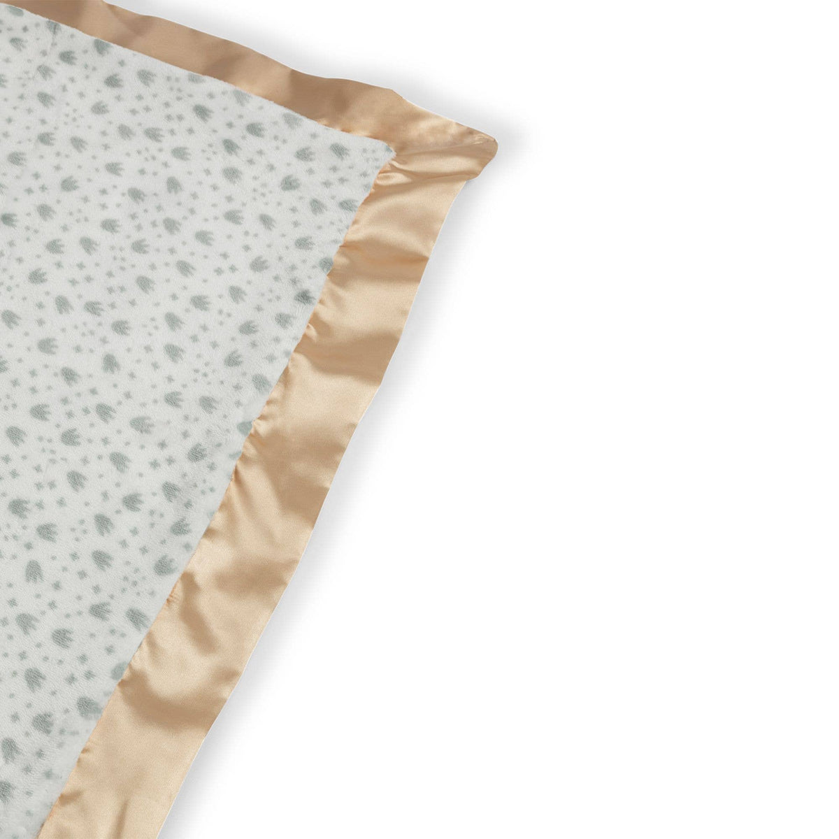 Reversible Baby Blanket - Roarsome